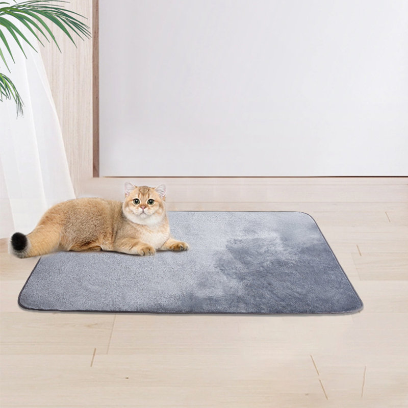 Pet Blanket