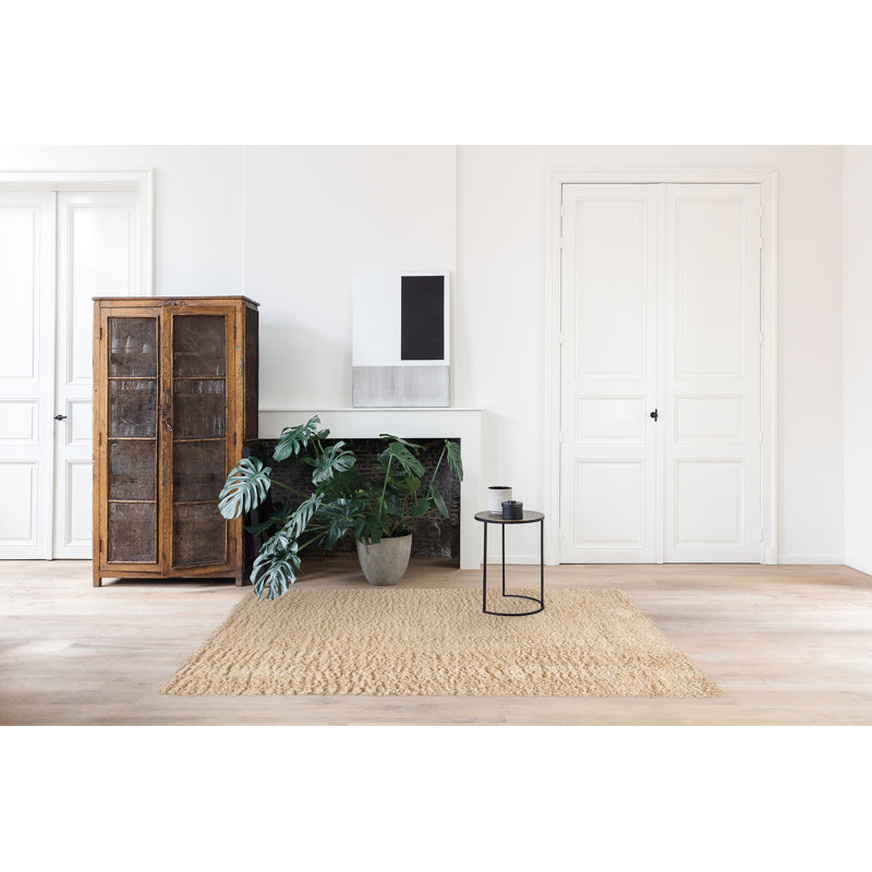 Decoste Hand Woven Area Rug, Rectangle 160 x 230cm
