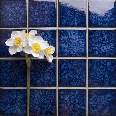 Swimming Pool Series 3" x 3" Porcelain Tile
