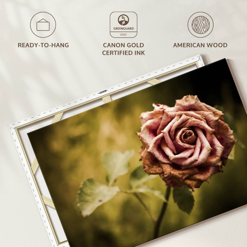 Harnek rose délavé, H 34 po x l 51 po