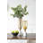 Glass Table Vase