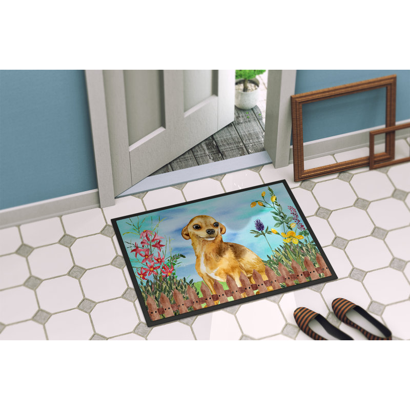 Tapis de porte pour l’extérieur antidérapant chihuahua spring, Rectangle 1 pi 6 po x 2 pi 3 po