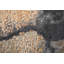 Tapis brun clair Nara-1589313969