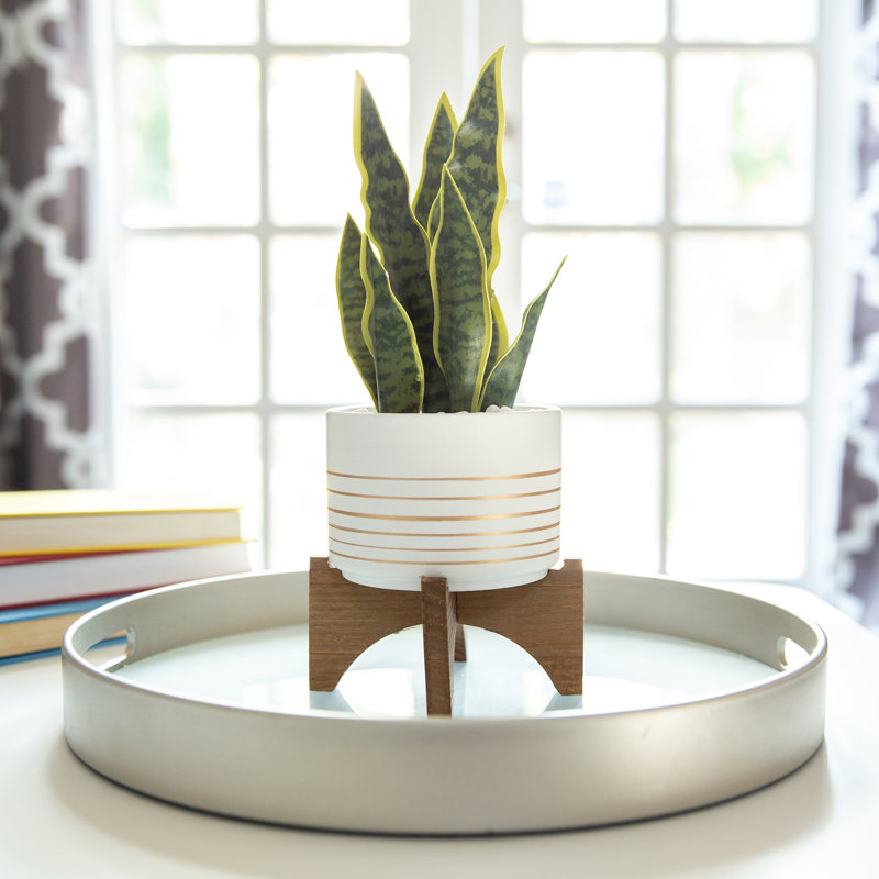 Pot de fleurs en céramique Fonthill, Blanc, H 8,125 po x l 7,5 po x P 7,5 po