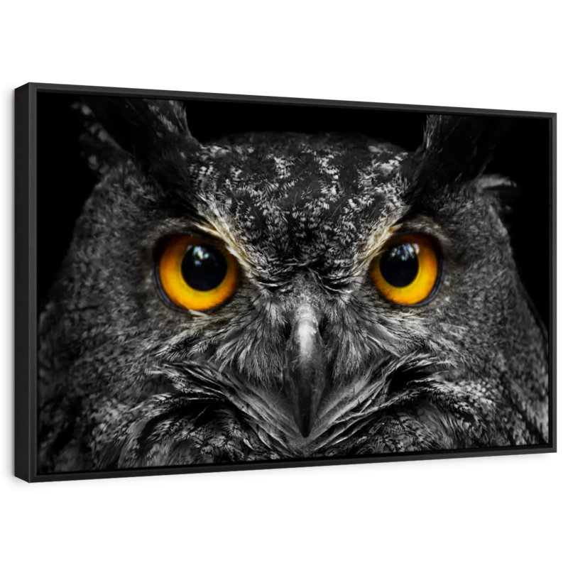 «Yellow Eyed Owl Wall Art», H 9 po x l 13 po