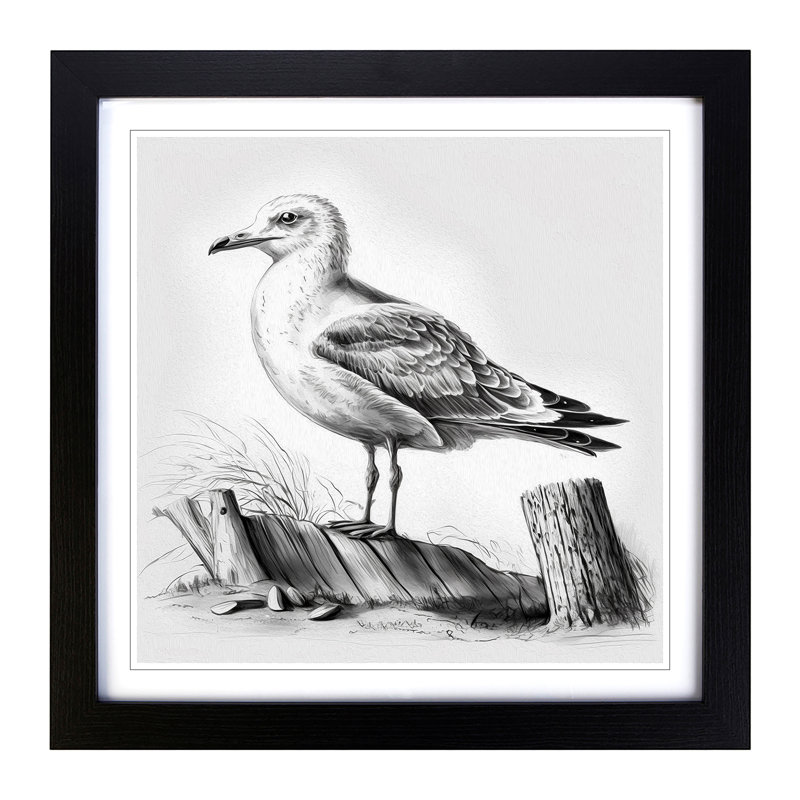 Seagull Drawing - Single Picture Frame Print on Wood, Black