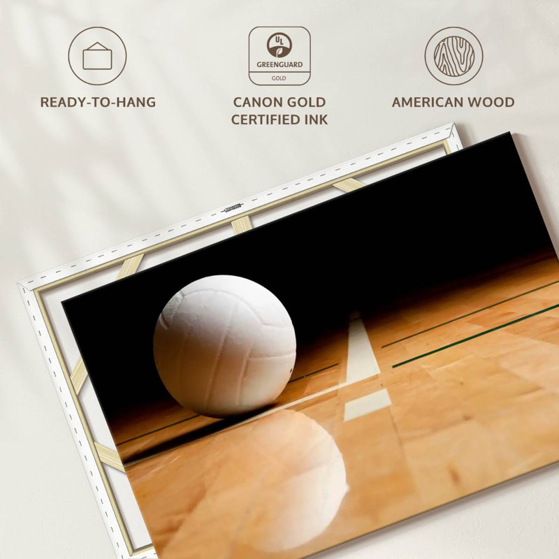 Sireci White Volleyball Reflection, 30" H x 45" W