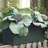 Lionnel Planter Box-1977765777