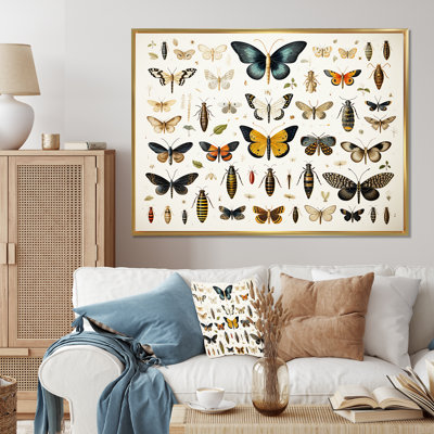 Blue And Yellow Insects And Bugs - Insects & Bugswall Art