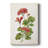 Scarlet Botanical II -Custom Wrapped Gallery Cavas