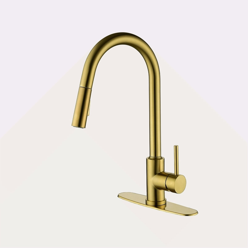 Kitchen Faucet With Pull Down Sprayer