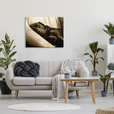" Cuddling Labrador Dog Sleeping Cozy Sepia " by James Dobson