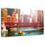 Navette Sirci Downtown Chicago-107855705