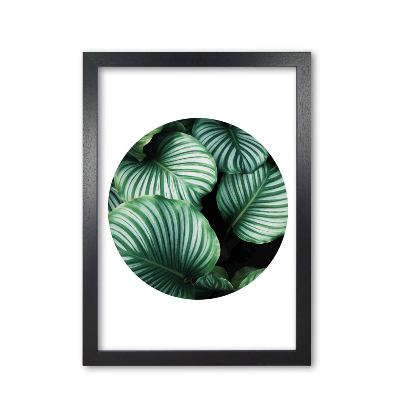 Leaves Circle - Print, Black Grain Frame, 42 cm H x 30 cm W x 5 cm D