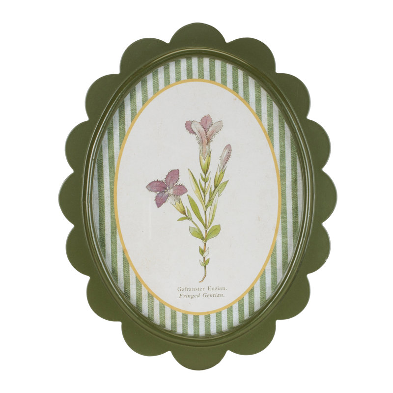 Reproduction encadrée d'une fleur