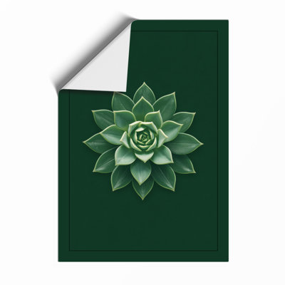 Geometric Succulent Botanical - Print