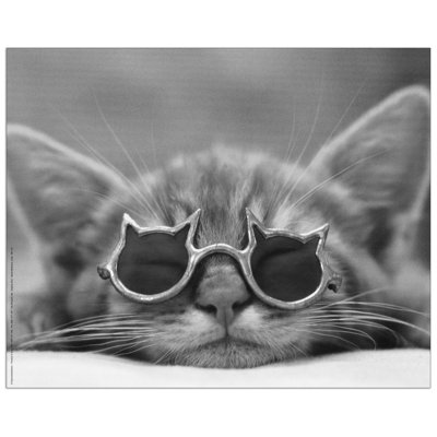 1 Piece Wall Art