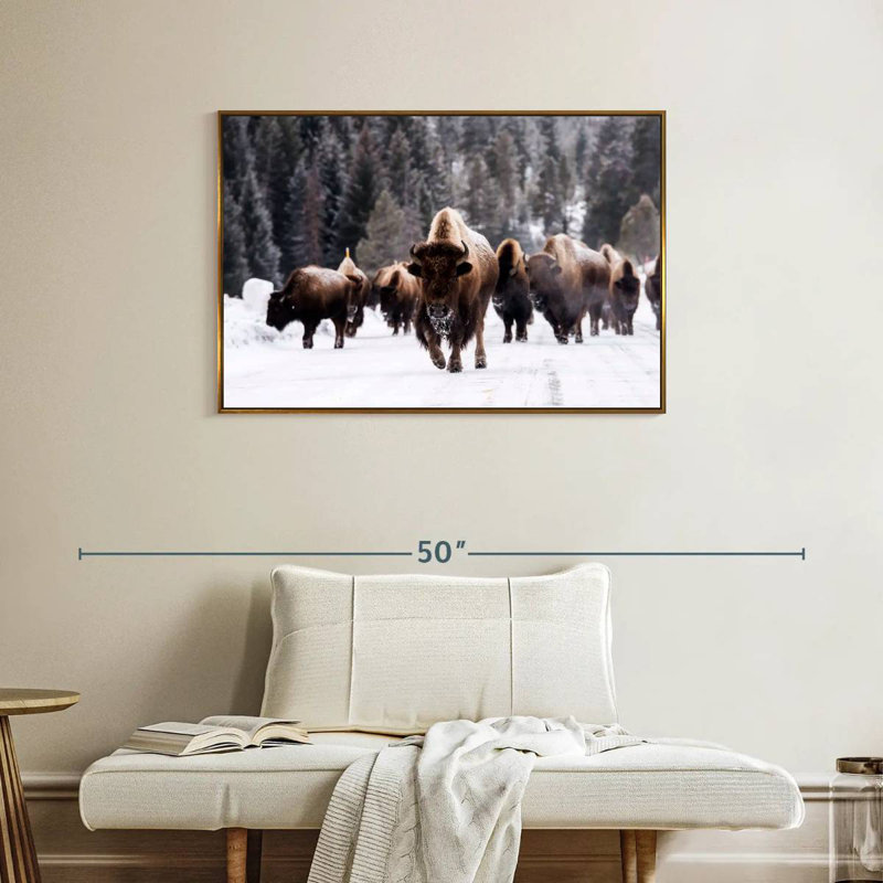 Bisons d'hiver, Cadre flottant doré, 37 po x 25 po