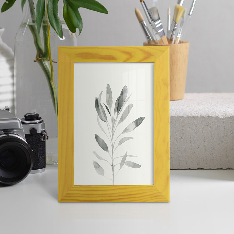 Charmayne, délicat sauge botanique II, impression encadrée sur papier, H 6 po x l 4 po x P 1 po, Jaune