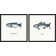 Salmon And Cod Diptych