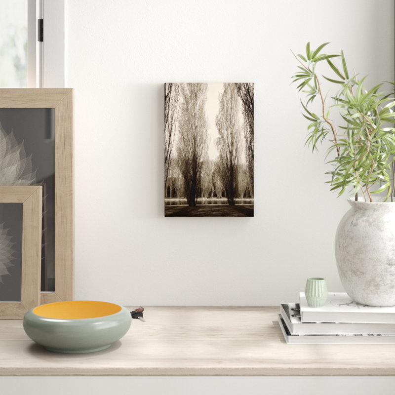 Jody Stuart - Wrapped Canvas Print, 45cm H x 30cm W x 3.81cm D