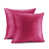 Rose vif