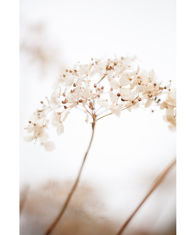 Wrapped Canvas Print, 60.96cm H x 91.44cm W