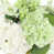 White;Green