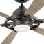 Iras 52'' Ceiling Fan with LED Lights-729148259