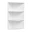 Cracchiolo 60cm H x 30cm W Floating Shelf Bookcase