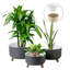 Ensemble de 3 pots à fleurs en plastique pour plantes avec trou de drainage Ginza Maison -115744815