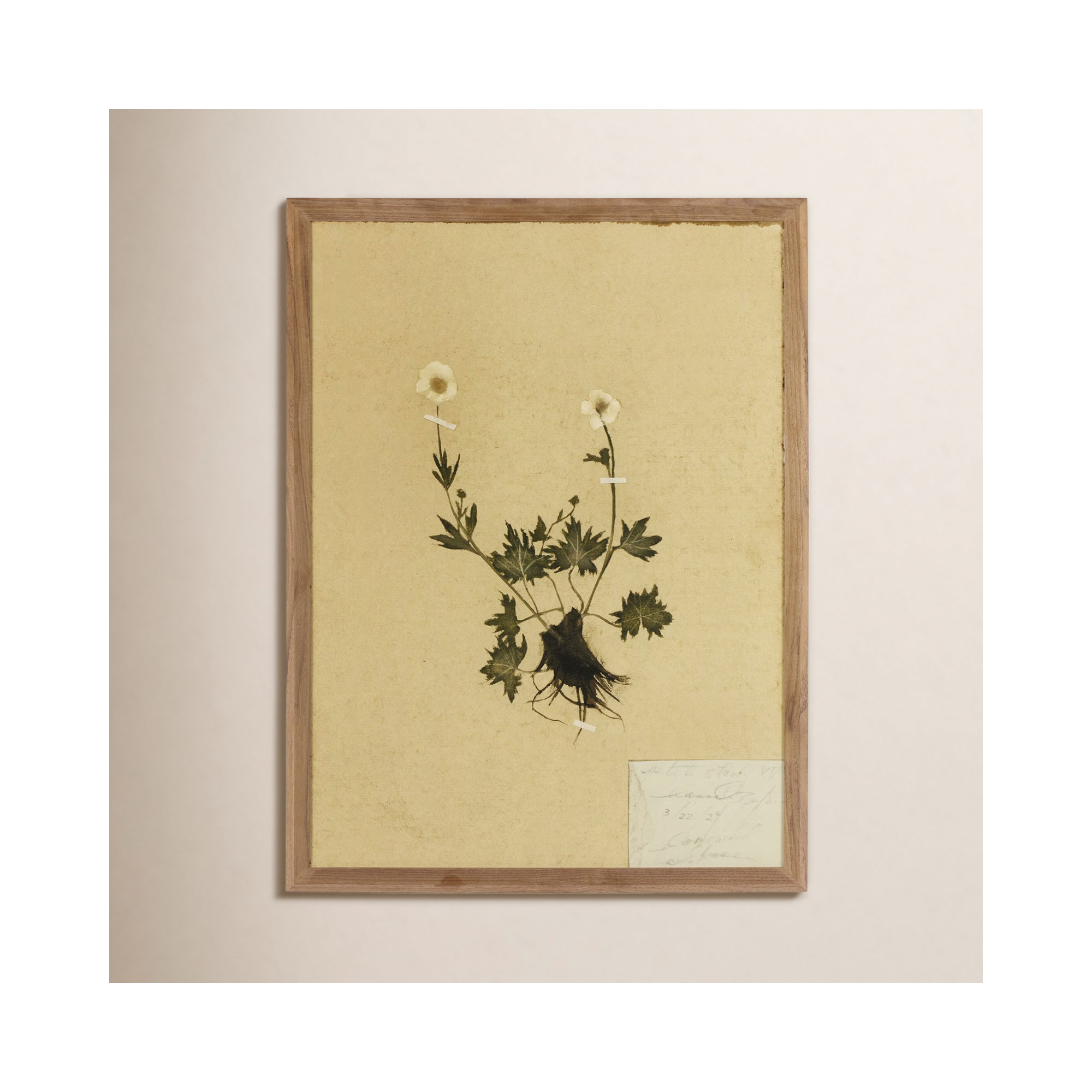 Petite Study No. V by Hannah Winters, 32" H x 24" W