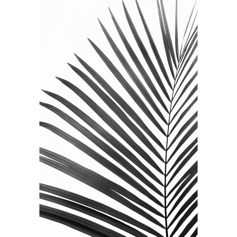Wrapped Canvas Print, 76.2 cm H x 50.8 cm W