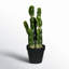Cactus artificiel en pot