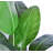 Artificial Bird of Paradise Plant-1466685502