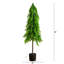 Pin artificiel de style Norfolk avec aspect naturel-444633700