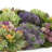 Sedum and Succulents Arranged in Fiberstone Planter
