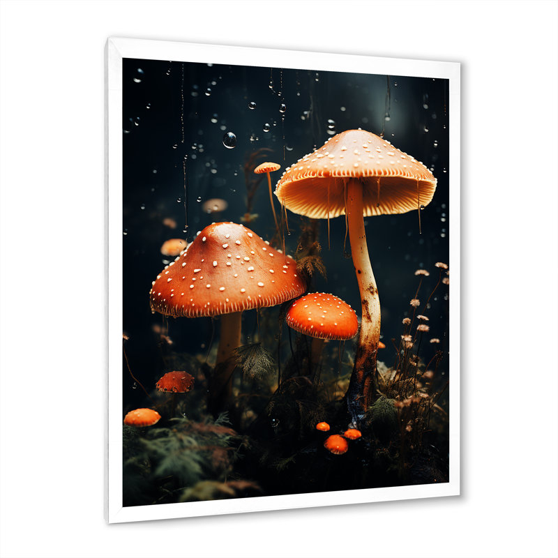 «Orange Forest Mushroom In Magical Forest», reproduction sur toile, H 40 po x l 30 po x P 1,5 po, Cadre simple blanc
