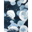 " Jellyfishs " on-98694489