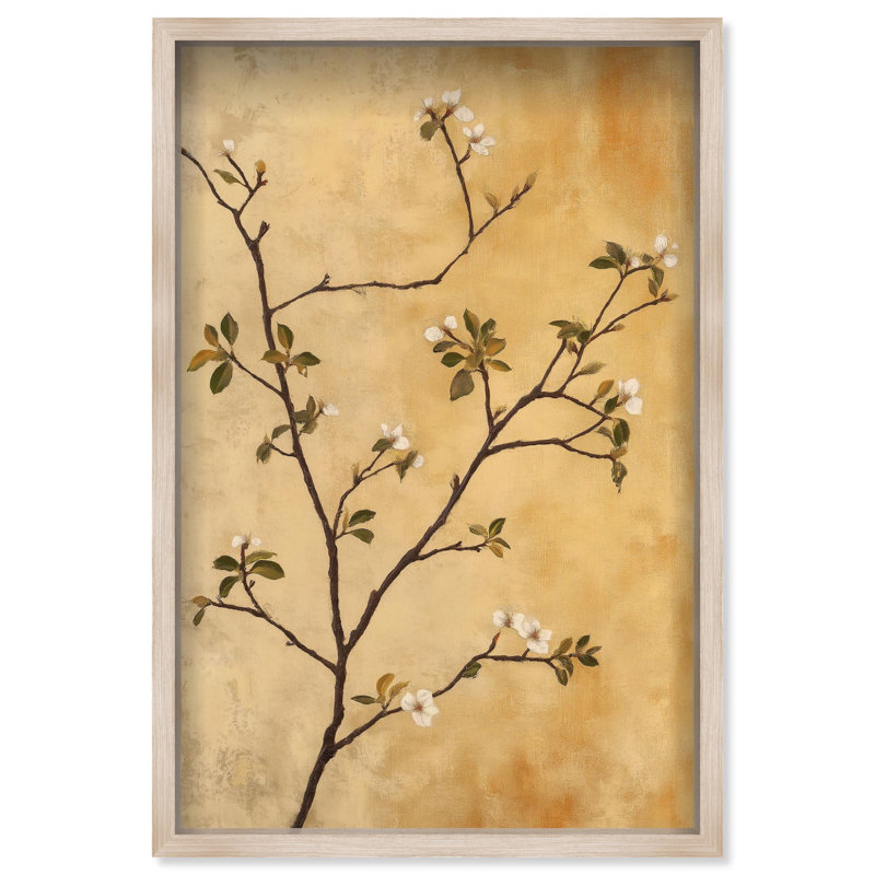 Oliver Gal Nature's Grace Floral & Botanical - Luxury Shadowbox Framed Wall Art, 38" H x 26" W, Cream