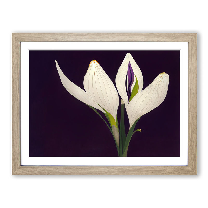 Evolving Flower - Framed Print, 34cm H x 46cm W x 2cm D, Oak