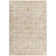 Aunah Traditional Machine Woven Area Rug DVC2306