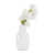 Blanc est en rupture de stock