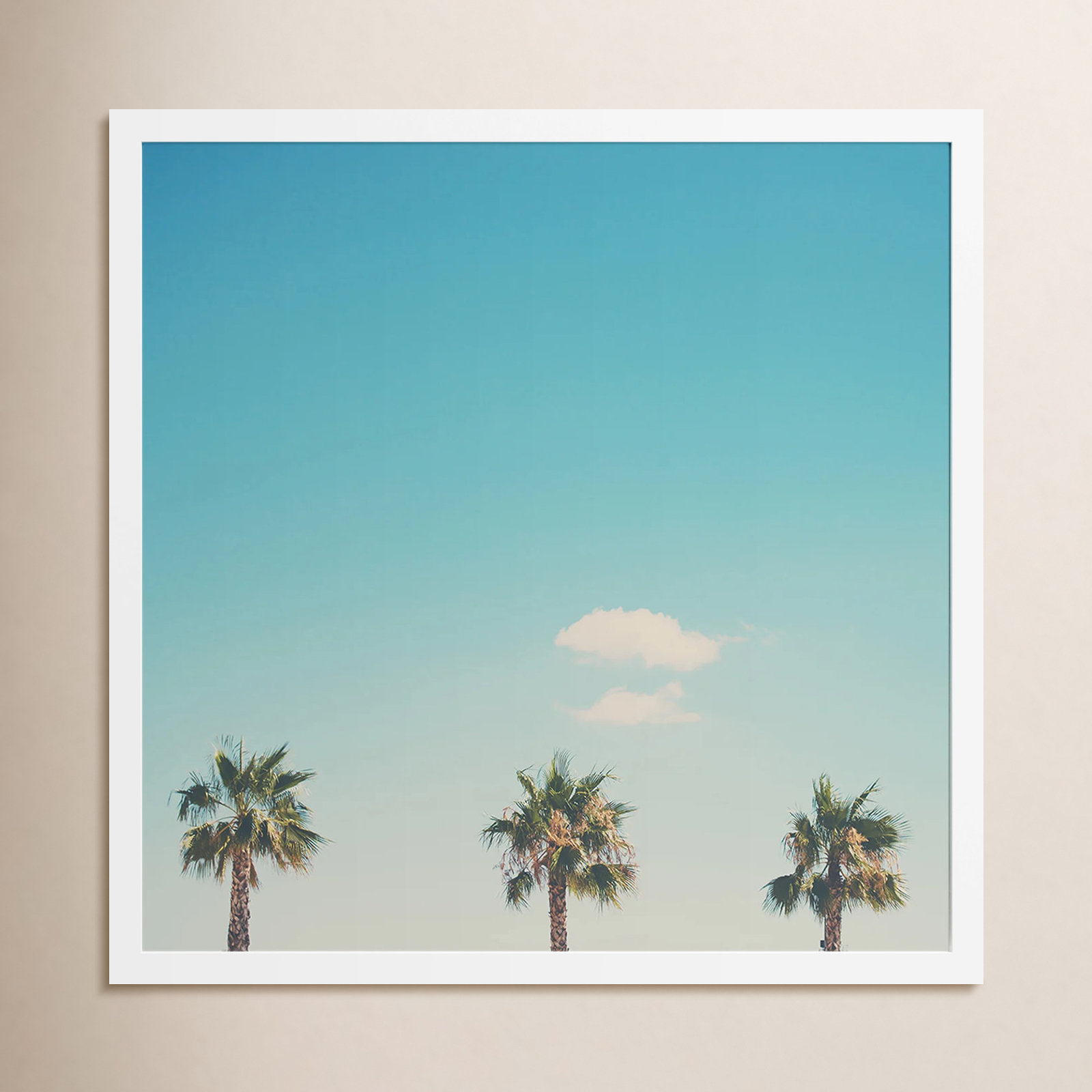 A Trio Of Palm Trees by Laura Evans, White Framed, 40.38" H x 40.38" W x 0.875" D