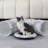 Cat Tunnel With Cat Bed For Indoor Cats, Multifunctional Cat Playground Toys Hideplace For Small Medium Large Cats