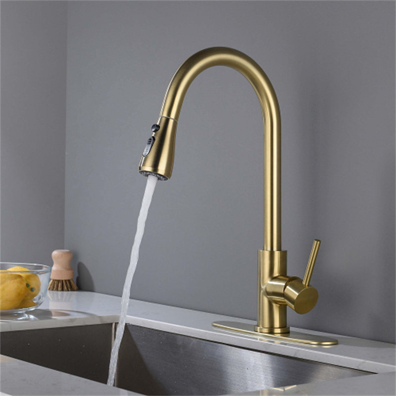 Red Cloud Pull Down Kitchen Faucet, Gold