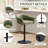 Swivel Adjustable Height Bar Stools with Back & Arms, Upholstered Counter Height Barstools-1882724378-1882724373