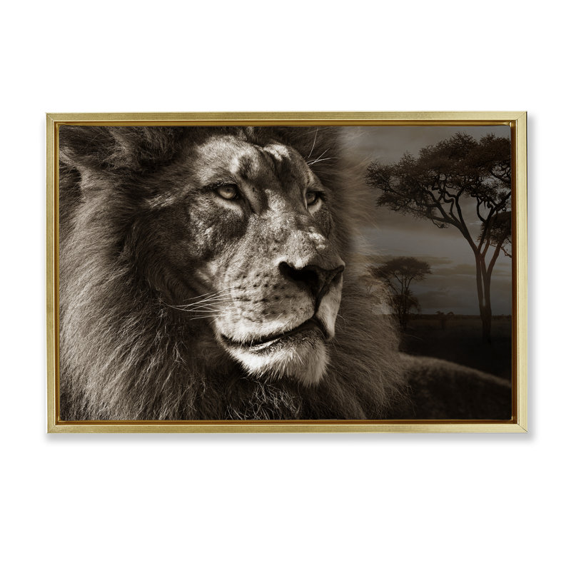 Portrait de lion sur la savane, 17" H x 25" W, Cadre flottant métallique doré