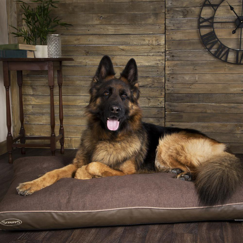 Hilton Orthopedic Polyester Pet Bed, Chocolate/Saddle Brown, 6cm H x 100cm W x 70cm D