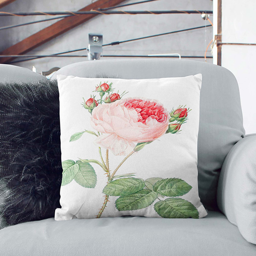 A Cabbage Rose by Pierre-Joseph Redoute Cushion with Filling